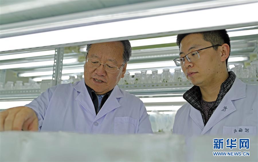 （新华全媒头条·图文互动）（2）和蔬菜“说话”的人——中国工程院院士李天来的“棚菜人生”