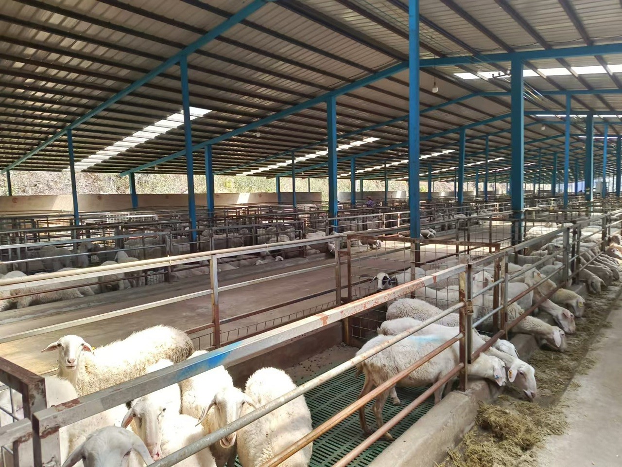 我院帮扶项目入选《中央和国家机关定点帮扶项目选编》