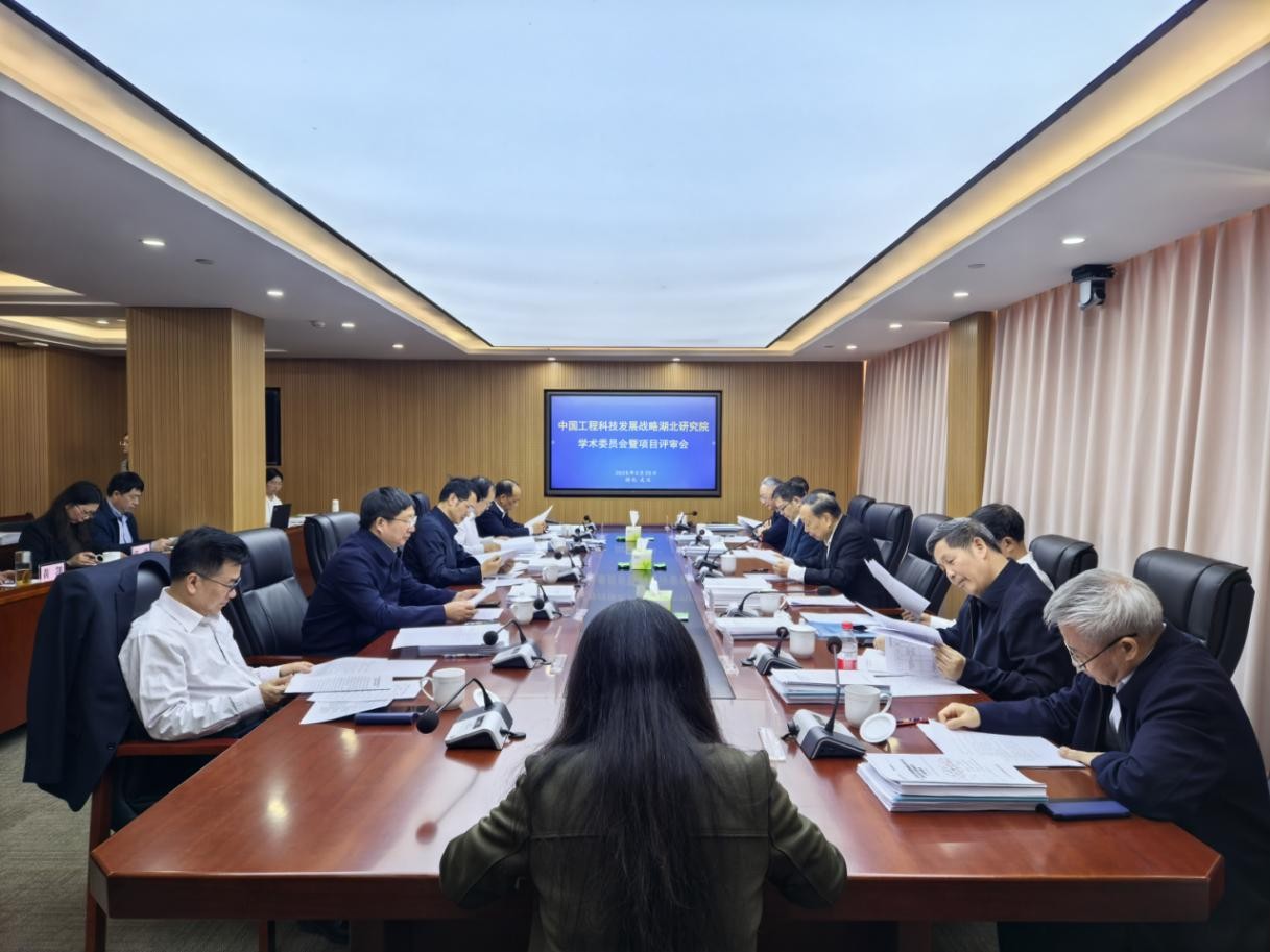 中国工程科技发展战略湖北研究院学术委员会暨项目评审会召开