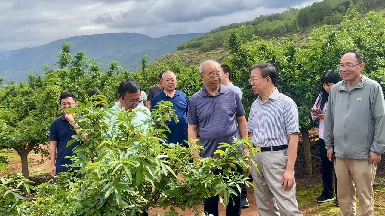 中国工程科技发展战略云南研究院项目“云南林业香辛料产业发展战略研究”开题启动暨专家咨询会在昆明召开
