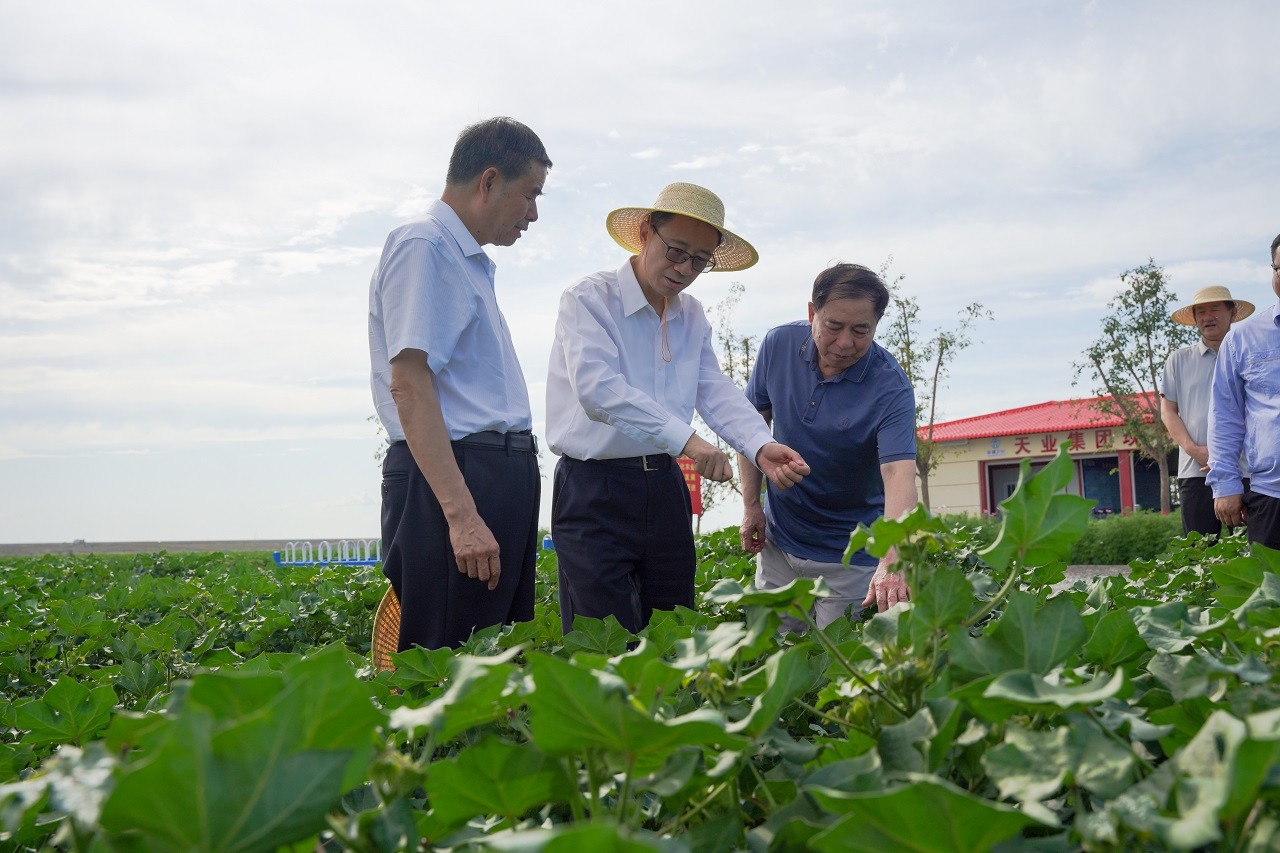 陈建峰秘书长带队赴新疆开展“工农融合科技创新发展”调研